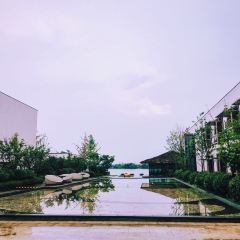Zhongxintaifuzhujiajiaojinjiangjiudian·pinmingge User Photo