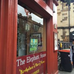 The Elephant House User Photo