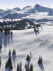 Whistler Blackcomb