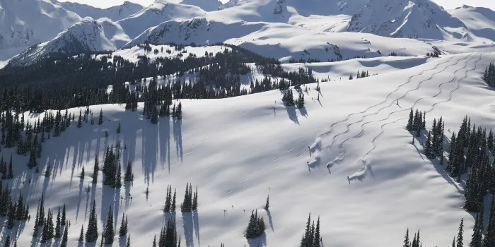 惠斯勒滑雪度假村 image 0