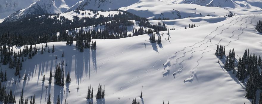 Whistler Blackcomb