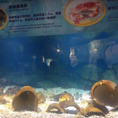 Ocean Beauty Restaurant 여행 사진