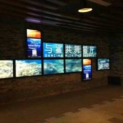 SHARK RESTAURANT User Photo