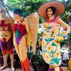 Cabbages & Condoms Restaurant User Photo