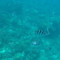 Alupang Beach Club User Photo