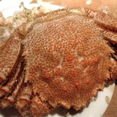 北海道 蟹將軍（札幌本店）張用戶圖片