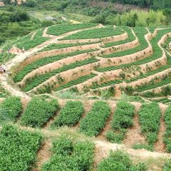 无量山坡顶饭店有限公司(南涧店) User Photo