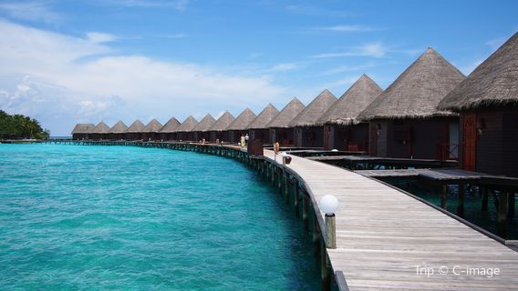 Maldives