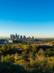 Dodger Stadium