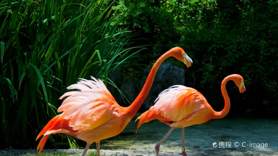 洛杉磯動物園