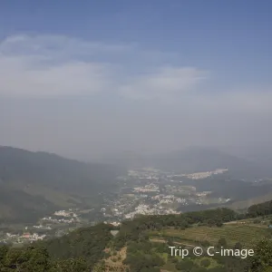 嘉道理農場暨植物園