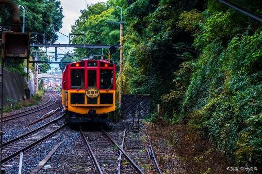 Arashiyama Sagano Sightseeing Train + Arashiyama + Hozu River Rafting One-Day Tour from Kyoto, Japan