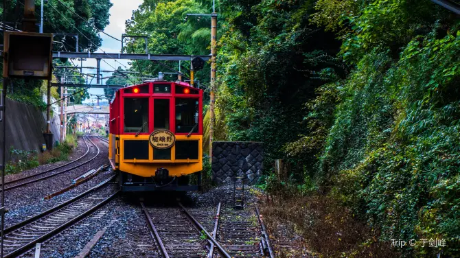 3_嵐山嵯峨野觀光小火車