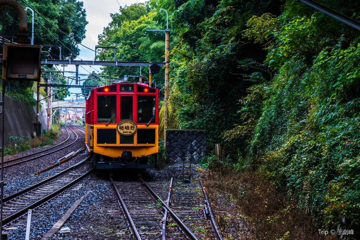 3_รถไฟสายโรแมนติกซากาโนะ