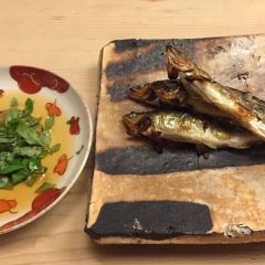 Ogata User Photo