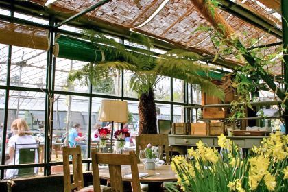 Petersham Nurseries Cafè