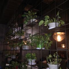 揚州獅子樓（東關街店）張用戶圖片