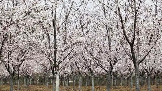 Getianyuan Tourism Scenic Area