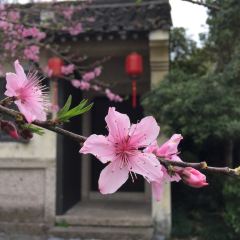 绍兴大禹开元观堂·禹家大院 User Photo