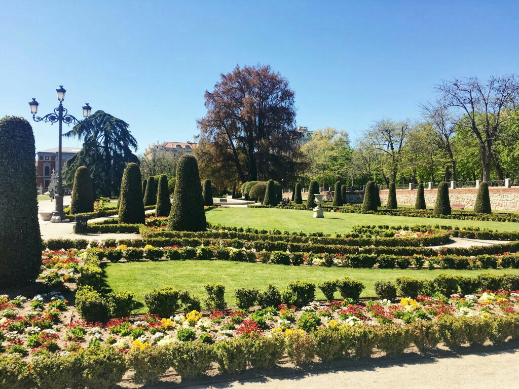 マドリード レティーロ公園 評判 案内 トリップドットコム マドリード レティーロ公園 評判 案内 トリップドットコム