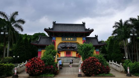 景区植被基本保留原生态，虫鸣鸟叫，溪流潺潺，穿行其间，令你浮