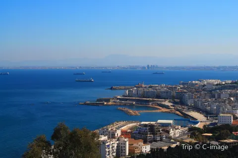 Alger