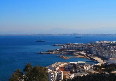 Algier