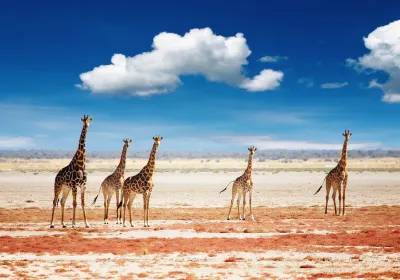 Etosha National Park