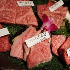 Matsusakagyu Yakiniku M HOZENJI YOKOCHO User Photo