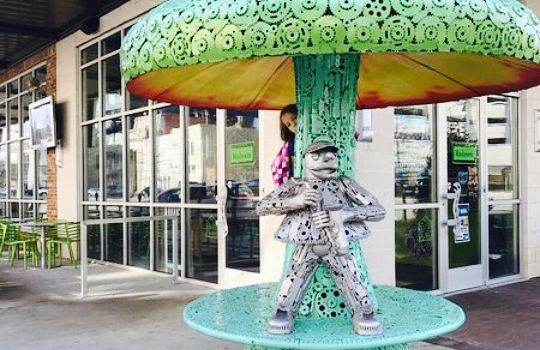 Mellow Mushroom