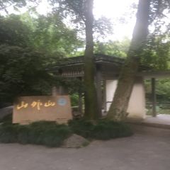 Mountain Beyond Mountain User Photo