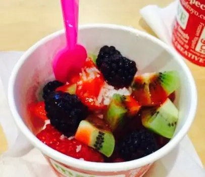 Zinga! Frozen Yogurt - Saugus