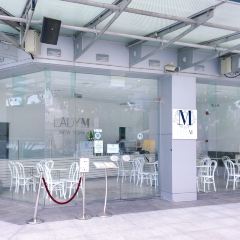 Lady M 여행 사진