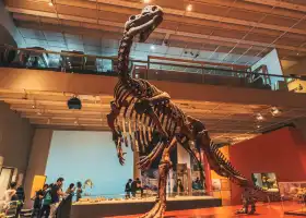 Queensland Museum Kurilpa