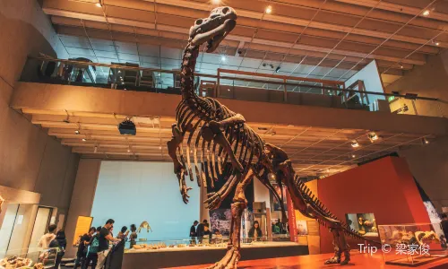 Queensland Museum Kurilpa