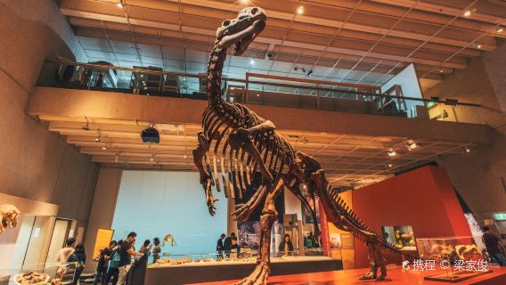 Queensland Museum Kurilpa