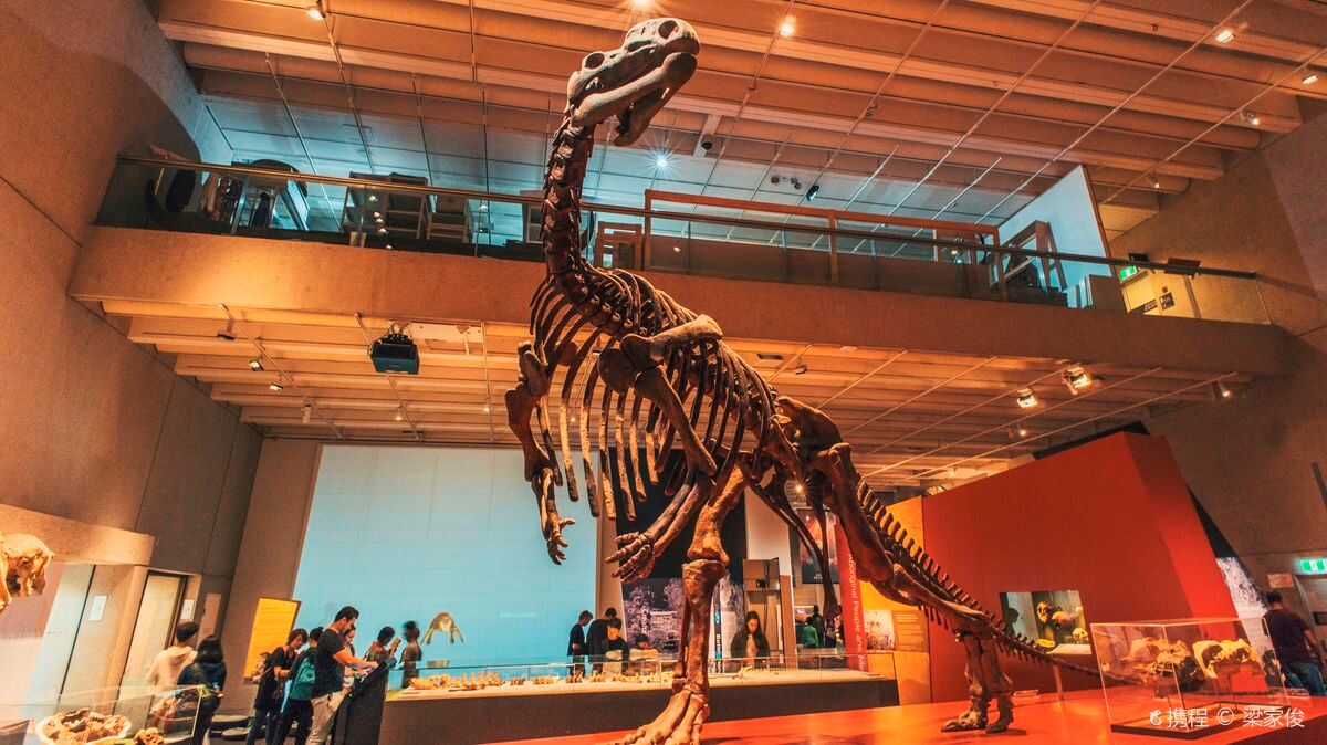 Queensland Museum Kurilpa