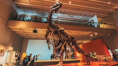 Queensland Museum Kurilpa