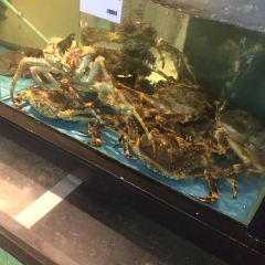 丽贝蒸鲜工坊 User Photo