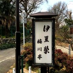 Izuei Main Restaurant User Photo
