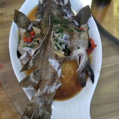 FU GE DA PAI DANG User Photo