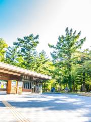 Maruyama Park