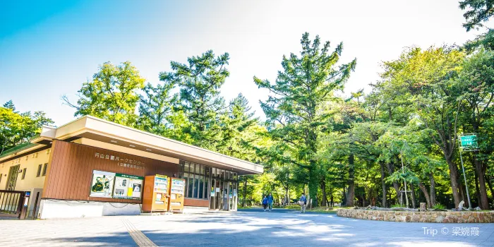 Maruyama Park image 1