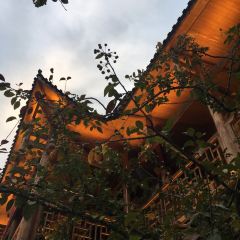 张关合渣(航空大道店) User Photo