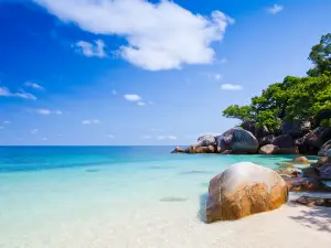 Fitzroy Island