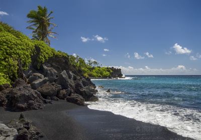 Wai'anapanapa State Park