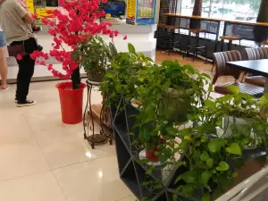 吉百利蛋糕面包(银座店)