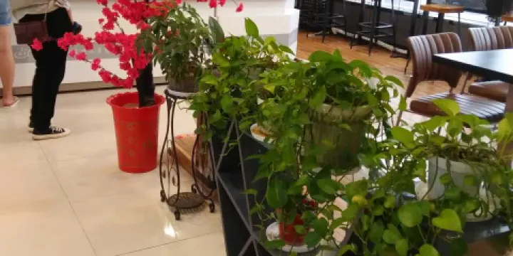 吉百利(銀座店)