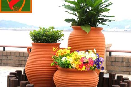 九鼎軒脆毛肚火鍋(武進萬達店)