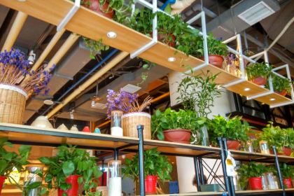 福状元(大学路店)